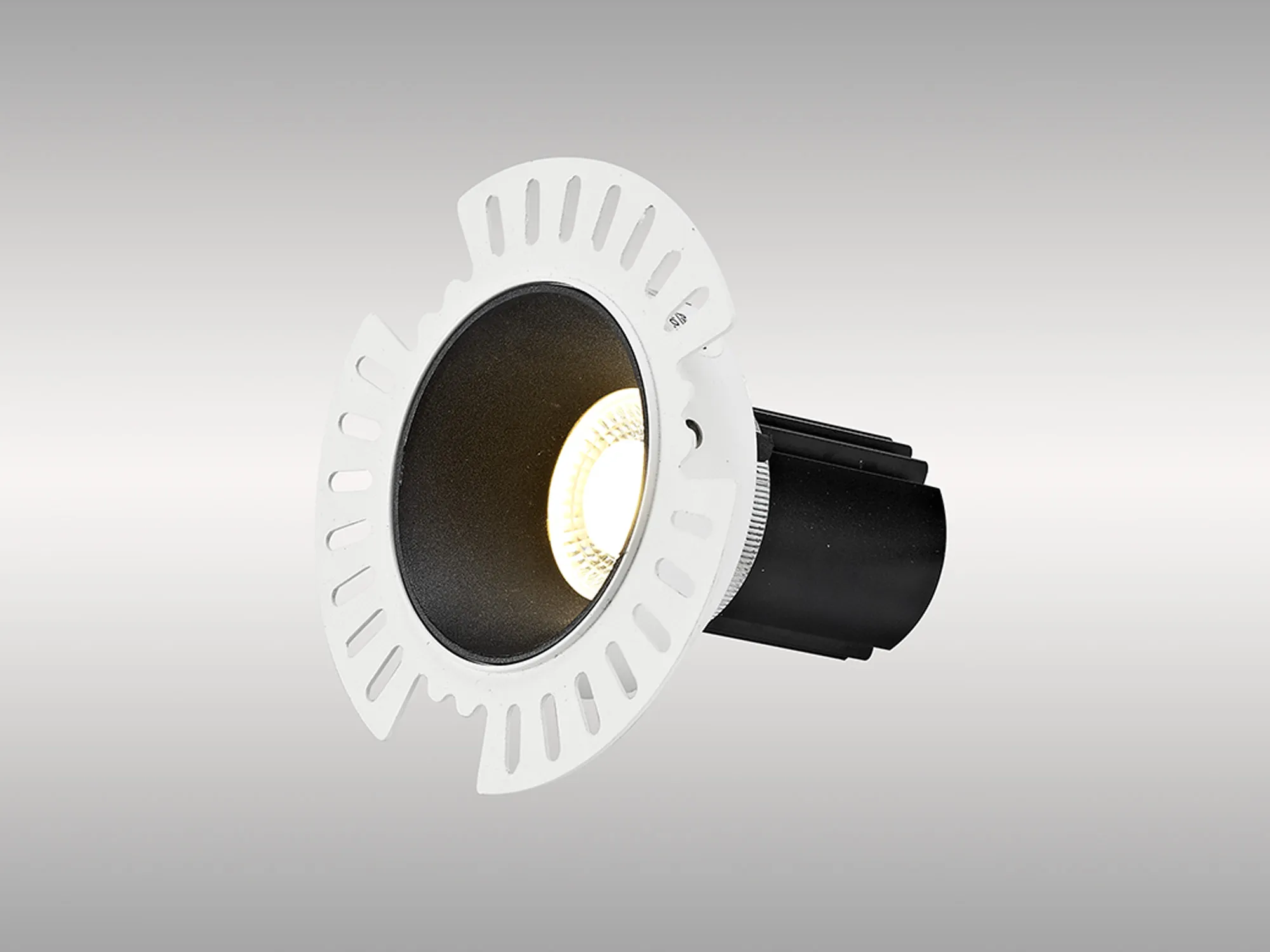 DM201830  Basy 12 Tridonic Powered 12W 2700K 1200lm 24° CRI>90 LED Engine Black Fixed Recessed Spotlight, IP20